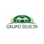 Diseño sin título (38)
